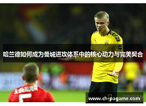 哈兰德如何成为曼城进攻体系中的核心动力与完美契合