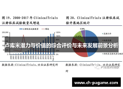 卢库米潜力与价值的综合评价与未来发展前景分析