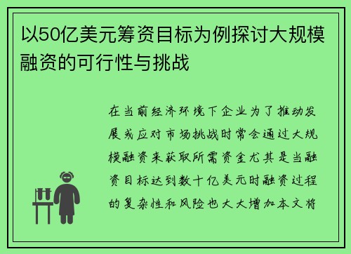 以50亿美元筹资目标为例探讨大规模融资的可行性与挑战