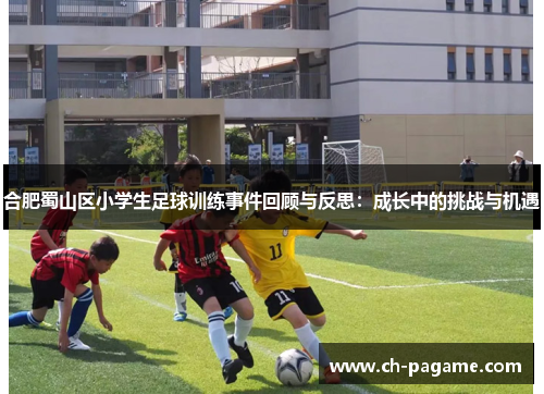 合肥蜀山区小学生足球训练事件回顾与反思：成长中的挑战与机遇