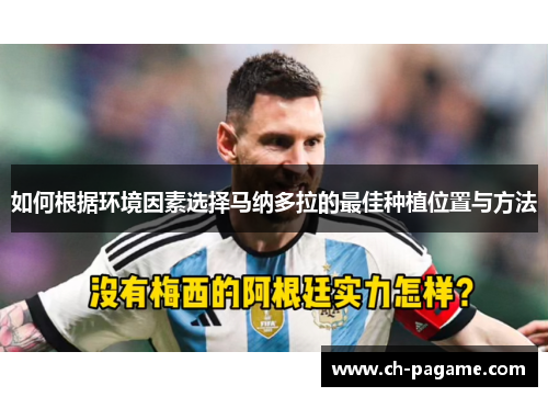 如何根据环境因素选择马纳多拉的最佳种植位置与方法