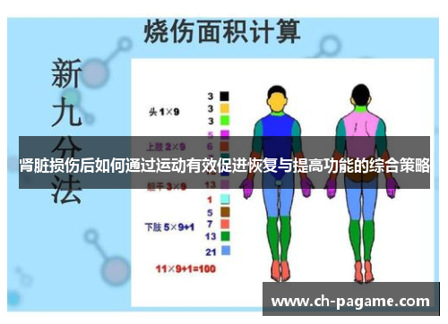 肾脏损伤后如何通过运动有效促进恢复与提高功能的综合策略