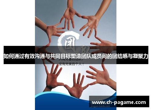 如何通过有效沟通与共同目标塑造团队成员间的团结感与凝聚力