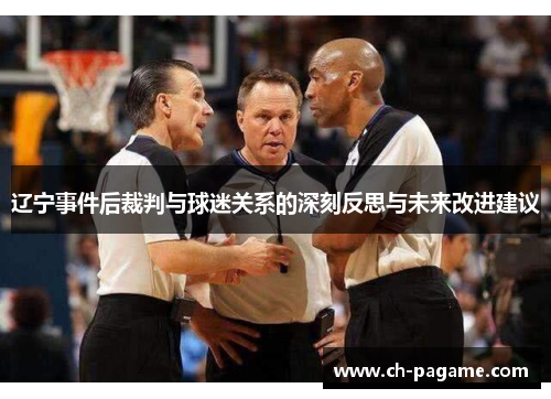 辽宁事件后裁判与球迷关系的深刻反思与未来改进建议