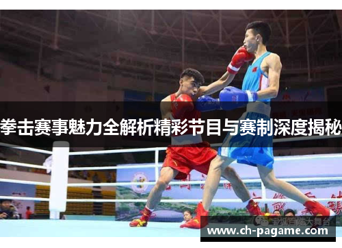 拳击赛事魅力全解析精彩节目与赛制深度揭秘