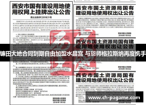 镰田大地合同到期自由加盟水晶宫 与恩师格拉斯纳再度携手